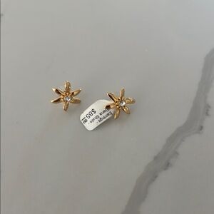 Mignonne Gavigan Gold Star Earrings Elana